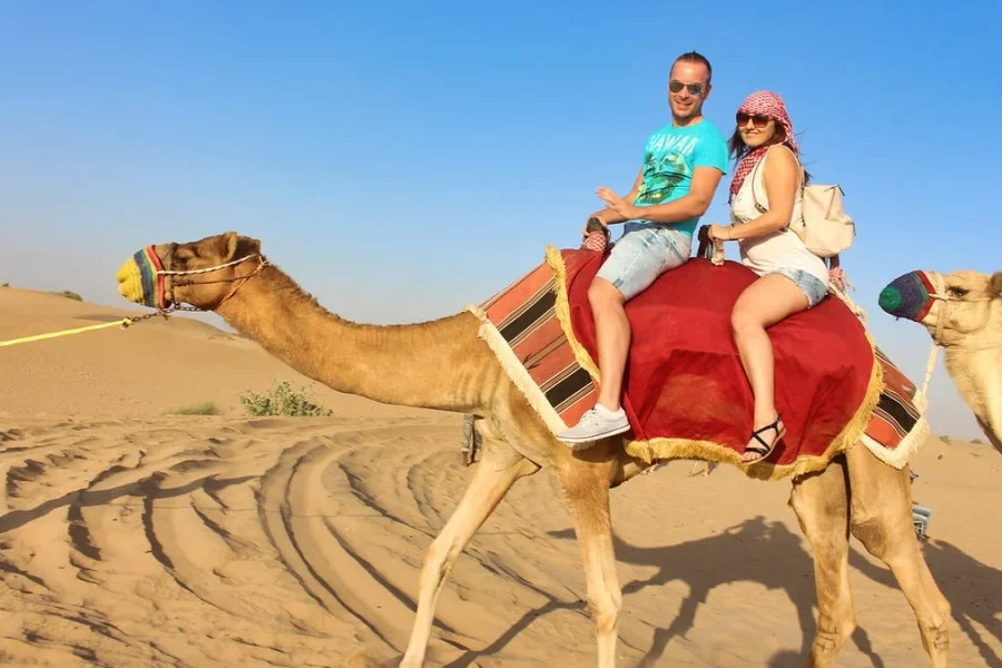 Camel Ride in Dubai Deserts