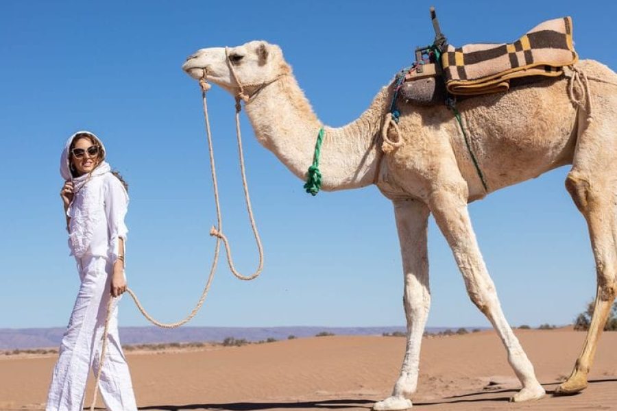Evening Desert Safari Dubai